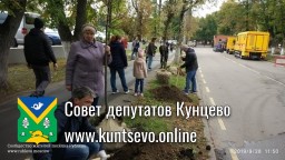 Программа по озеленению Кунцево утверждена! Программа по озеленению Кунцево утверждена!