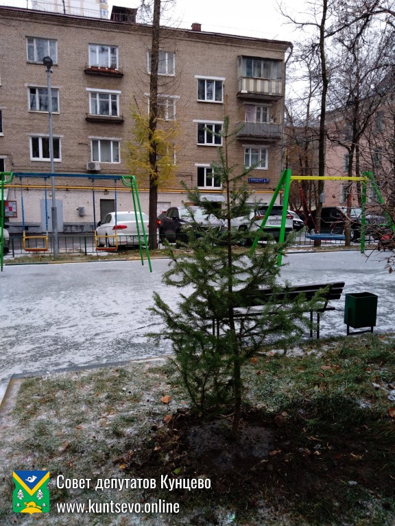 Провели посадки деревьев и кустарников в районе. 1 Провели посадки деревьев и кустарников в районе. 1