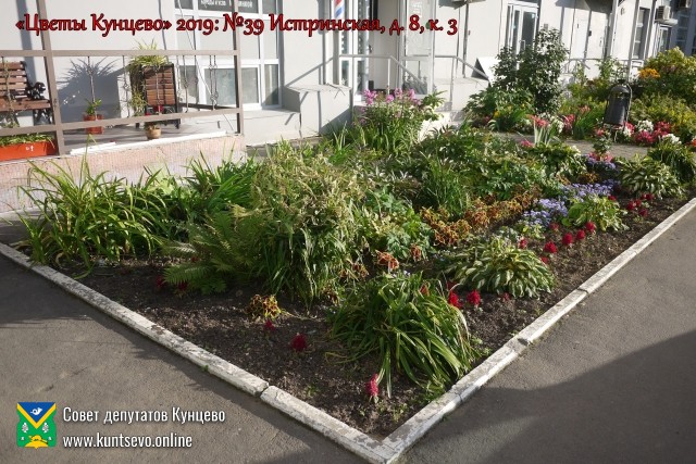 В Кунцево впервые прошёл конкурс палисадников "Цветы Кунцево" 3 В Кунцево впервые прошёл конкурс палисадников "Цветы Кунцево" 3