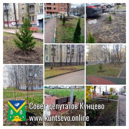 Провели посадки деревьев и кустарников в районе. Провели посадки деревьев и кустарников в районе.