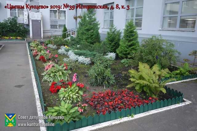 В Кунцево впервые прошёл конкурс палисадников "Цветы Кунцево" 4 В Кунцево впервые прошёл конкурс палисадников "Цветы Кунцево" 4