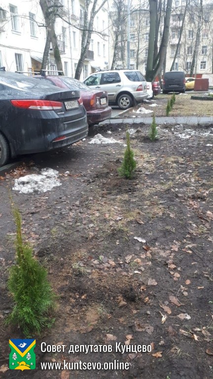 Провели посадки деревьев и кустарников в районе. 5 Провели посадки деревьев и кустарников в районе. 5