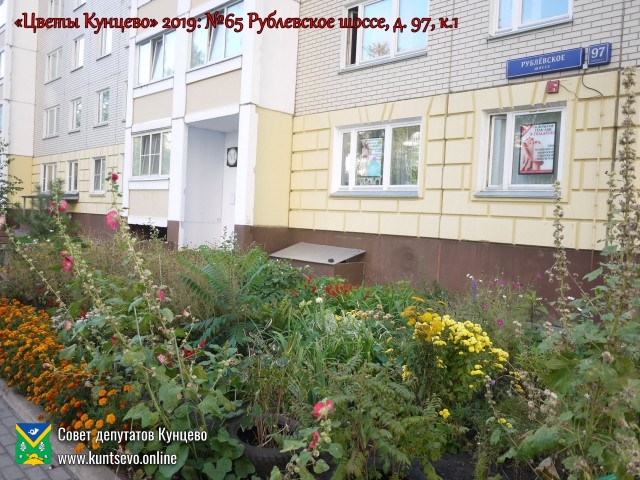 В Кунцево впервые прошёл конкурс палисадников "Цветы Кунцево" 13 В Кунцево впервые прошёл конкурс палисадников "Цветы Кунцево" 13