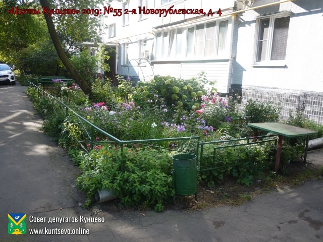 В Кунцево впервые прошёл конкурс палисадников "Цветы Кунцево" 10 В Кунцево впервые прошёл конкурс палисадников "Цветы Кунцево" 10