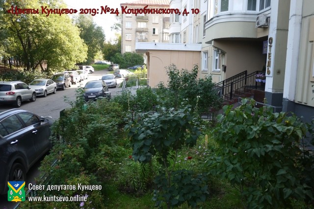 В Кунцево впервые прошёл конкурс палисадников "Цветы Кунцево" 0 В Кунцево впервые прошёл конкурс палисадников "Цветы Кунцево" 0