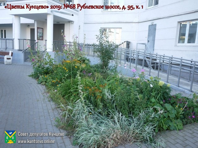 В Кунцево впервые прошёл конкурс палисадников "Цветы Кунцево" 19 В Кунцево впервые прошёл конкурс палисадников "Цветы Кунцево" 19