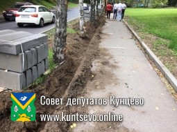 При благоустройстве на Обводном шоссе повреждены деревья При благоустройстве на Обводном шоссе повреждены деревья