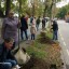 Программа по озеленению Кунцево утверждена! Программа по озеленению Кунцево утверждена!
