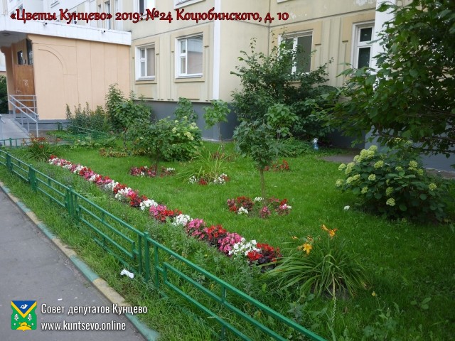 В Кунцево впервые прошёл конкурс палисадников "Цветы Кунцево" 1 В Кунцево впервые прошёл конкурс палисадников "Цветы Кунцево" 1