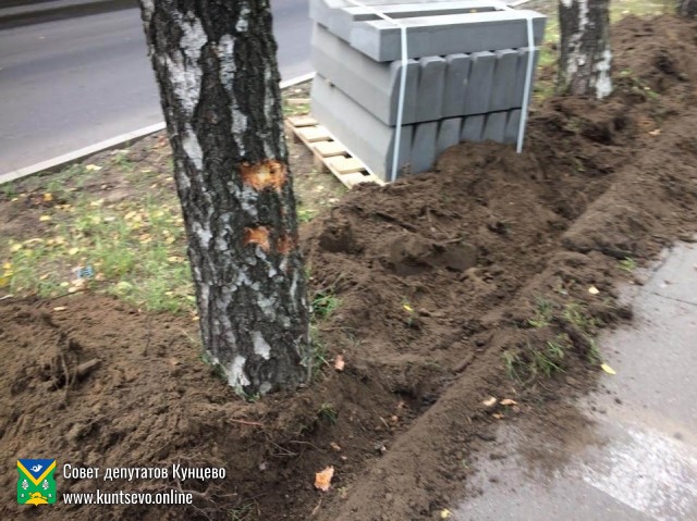 При благоустройстве на Обводном шоссе повреждены деревья 2