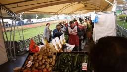 Депутаты проверили работу сезонной ярмарки около кинотеатра "Брест" Депутаты проверили работу сезонной ярмарки около кинотеатра "Брест"
